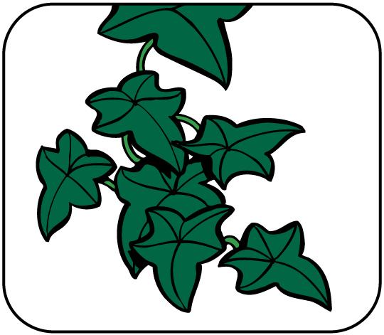 EFEU DER